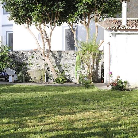 City Center, 200 Meters To Marina, Walk To Everything, Private Yard And Garden Ponta Delgada Exterior foto